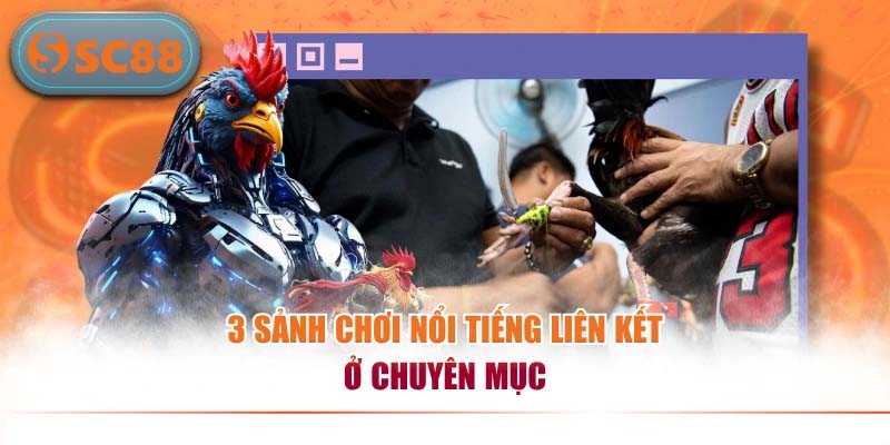 Đá Gà SC88 – Sân Chơi Chọi Kê Trực Tuyến Hấp Dẫn Nhất