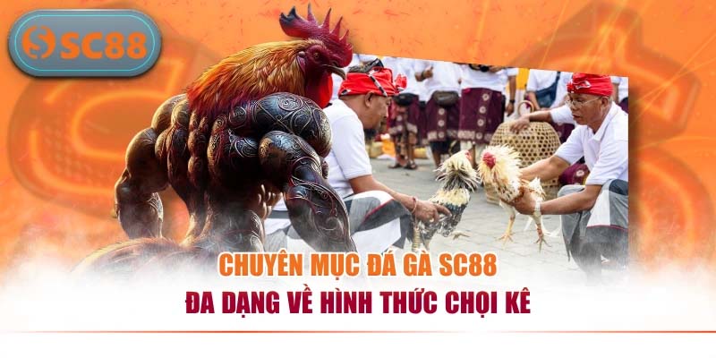 Đá Gà SC88 – Sân Chơi Chọi Kê Trực Tuyến Hấp Dẫn Nhất