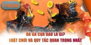 Đá Gà SC88 – Sân Chơi Chọi Kê Trực Tuyến Hấp Dẫn Nhất