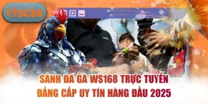 Đá Gà SC88 – Sân Chơi Chọi Kê Trực Tuyến Hấp Dẫn Nhất
