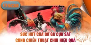 Đá Gà SC88 – Sân Chơi Chọi Kê Trực Tuyến Hấp Dẫn Nhất