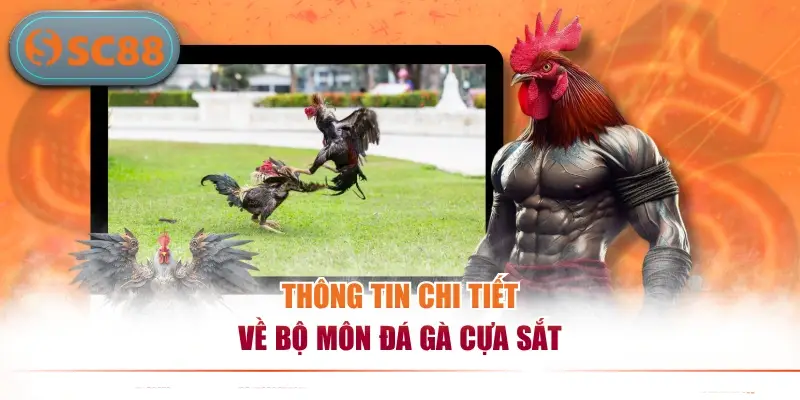 Sức Hút Của Đá Gà Cựa Sắt Cùng Chiến Thuật Chơi Hiệu Quả