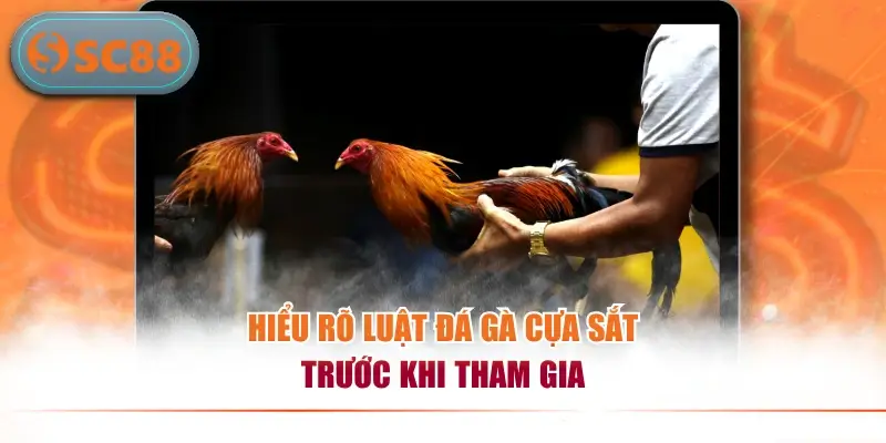 Sức Hút Của Đá Gà Cựa Sắt Cùng Chiến Thuật Chơi Hiệu Quả