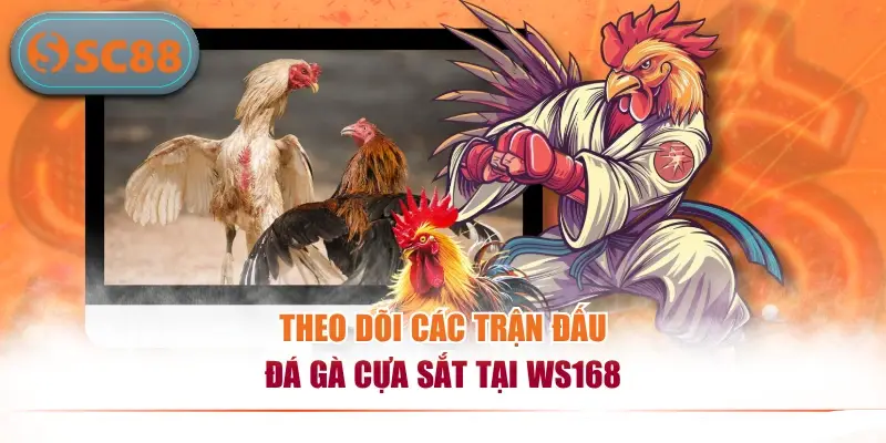 Sảnh Đá Gà WS168 Trực Tuyến Đẳng Cấp Uy Tín Hàng Đầu 2026
