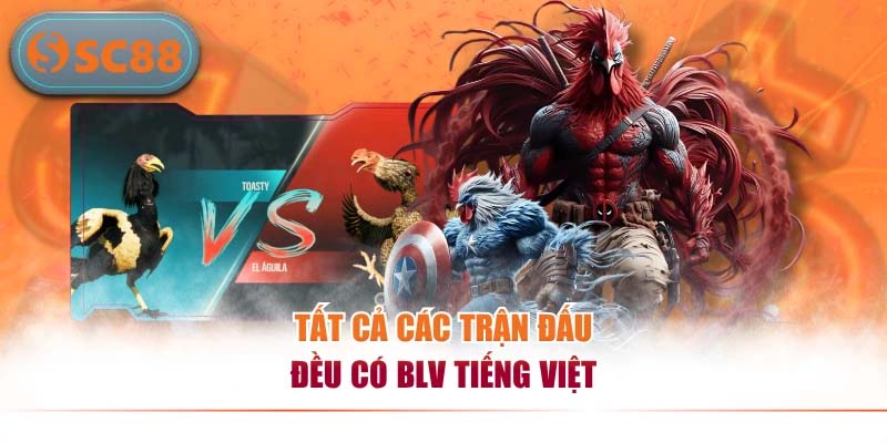 Đá Gà SC88 – Sân Chơi Chọi Kê Trực Tuyến Hấp Dẫn Nhất